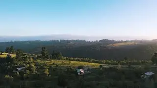 Glamping above a forest at AfriCamps at Ingwe, Plettenberg Bay, South Africa