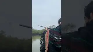 Siberian Birds Hunt. 🦢