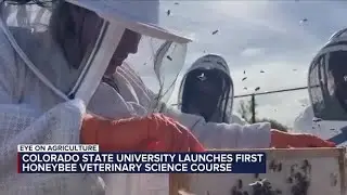 Eye on Agriculture Veterinary Research