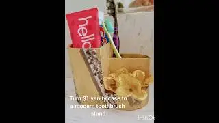 $1 DIY expensive high end toothbrush holder
