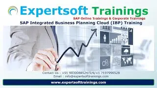 SAP Integrated Business Planning (IBP) Training | SAP IBP Cloud Corporate Training