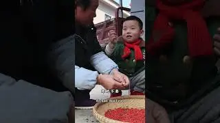 Turning Mountain Wild Fruits into Sweet Bites &mdash; Jigilang Rice Cakes, a Rural-Only Treat 🍃🍡