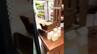 Come visit us at little acres farm market in Glastonbury Connecticut
