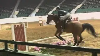 2&rsquo;6 Children&rsquo;s MN State Fair - Isaac (2023)
