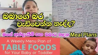 ඔයාලා ඉල්ලපු පුතාගේ Meal Plans|බබාලගේ කෑම සම්බන්ධයෙන් මට තියෙන අත්දැකීම්👨‍❤‍💋‍👨