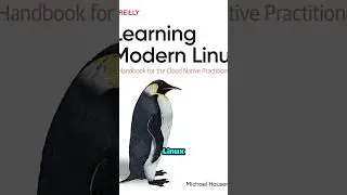 Essas s&atilde;o as distros Linux que tu nunca imaginou que existissem!