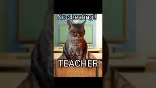 Cat memes: school exams pt3 #shorts #memes