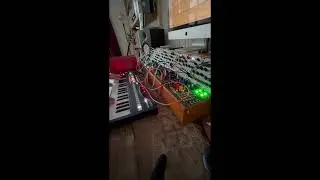 Serge NTO sequence