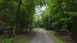 30 minutes Indoor cycling 4k video Slovak beautiful forests good for relaxing
