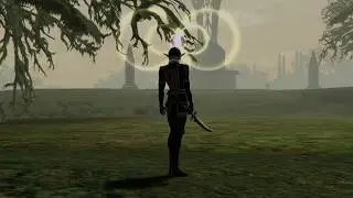 Lineage II - Theme of Solitude