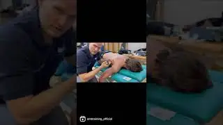 Изучите электроакупунктуру онлайн
