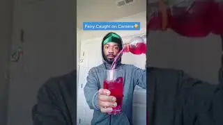Fairy Caught on Camera😳