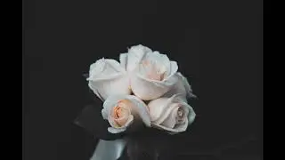 Classical music for Funeral and Mourning: Heal grief, sorrow, loss.