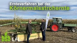 Ernteverfahren für die Ernte von Körnermaisstroh
