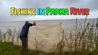 পদ্মার ঢেউ আর খ্যাপলা জালে বিভিন্ন ধরনের মাছ | Fishing in Padma River #fishing #fish #villagelife