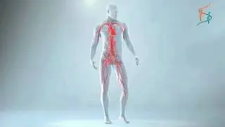 Knee pain - Sahaj SVF Technology | Live Pain Free | Osteoarthritis |  WhatsApp- 8223082111