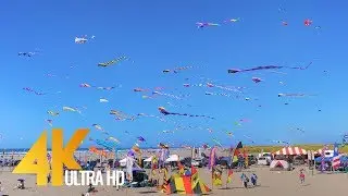 4K Nature Documentary Film 