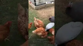 Wisata edukasi bersama keluarga di kota Bandarlampung