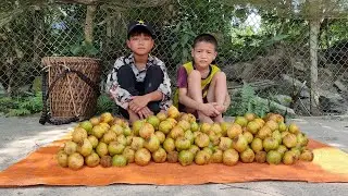 Poor boy - Roofing the house, picking fruit to sell Farewell after 1 month of living together