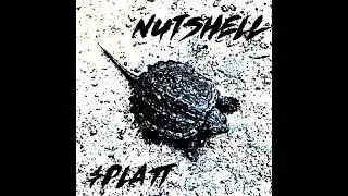 Nutshell- (cover) 