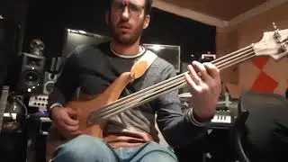 New bass day! Vigier Passion Surfreter (iMetal fretless fingerboard).