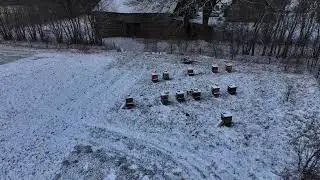 Tego dnia pasieka wyglądała inaczej…