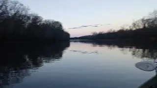 Catching eater sized channel cats on the James River 