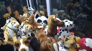 Captain Namco vs Showtime Claw Machine Episode 43 5 Dollar Challenge