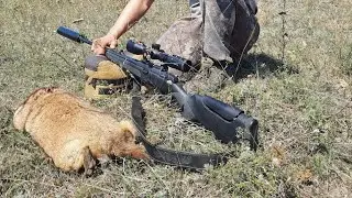 охота на сурка с карабином ATA ARMS TURQUA закрытие