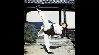 Great Kickers of Hong Kong Cinema
