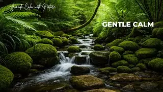 Classical Music for Sleep 🌌 Soft Piano & Ambient Strings for Peaceful Night Rest