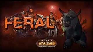 Feral Druid Basic Gameplay Guide WoD 6.1
