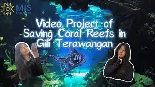 Saving Coral Reefs In Gili Trawangan