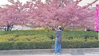 เที่ยวโอซาก้า2025 Dotonbori Canal #japan #osaka #dotonbori #glico #travel #fypシ #vacation #sakura 