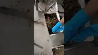 Modified Proctor Test soil Mixing