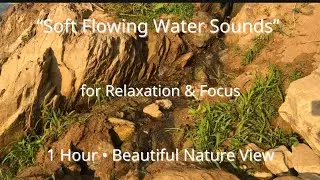 Gentle Flowing Stream Sounds for Deep Sleep &ndash; 1 Hour (Black Screen, Pure ASMR)