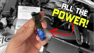 My 2019 Mustang GT Gets a HUGE UPGRADE From FUEL INJECTOR CLINIC