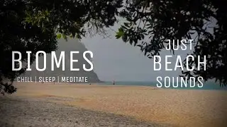 Just Beach Sounds 🌊 | Ocean Waves Sounds for Sleep, Meditation and Chill | 8 Hours