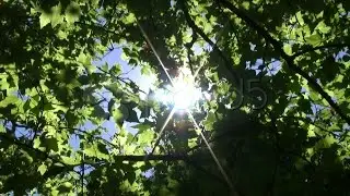 149683 Natural Energy stock footage