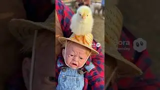 Little Joey Goes to the Petting Zoo #shortscomedy #littlejoey #pettingzoo #reborndoll #creepy
