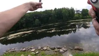 Testing Out Logix Baits