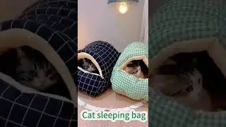 Cat sleeping bag)