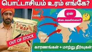 பொட்டாஷ் உரம் கிடைக்காதது ஏன்? | காரணங்கள் & மாற்று உரங்கள் | Best Potash Alternatives for Crops 💯