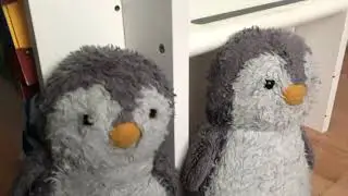 Penguins news get attacked by bad wolf