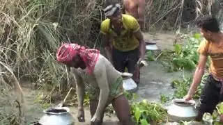 Hand Fishing in mud water | Catching fish from mud water with hand