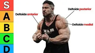 os MELHORES exercícios de DELTÓIDE (Tier-List baseado em Ciência)