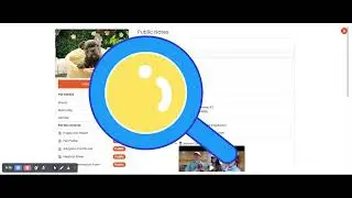 Unified Kennel Management: The Different Portals