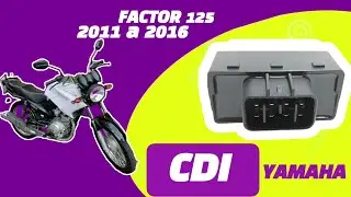 🔴 CDI FACTOR 125 2011 a 2016| PINAGEM CORES E FUN&Ccedil;&Otilde;ES DE CADA FIO!