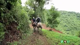 The best Horseback Riding Tour in Jaco Beach and Los Suenos Costa Rica