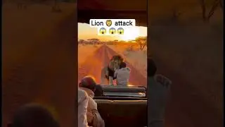 Lion 🦁 Attacks Man 😱 | Shocking Wildlife Moment ♌#LionAttack#Wildlife#AnimalAttack #Shorts #FYP 😱🔥💥